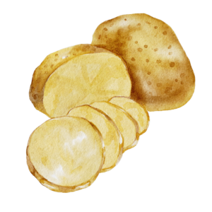 Kartoffel Hunderunde