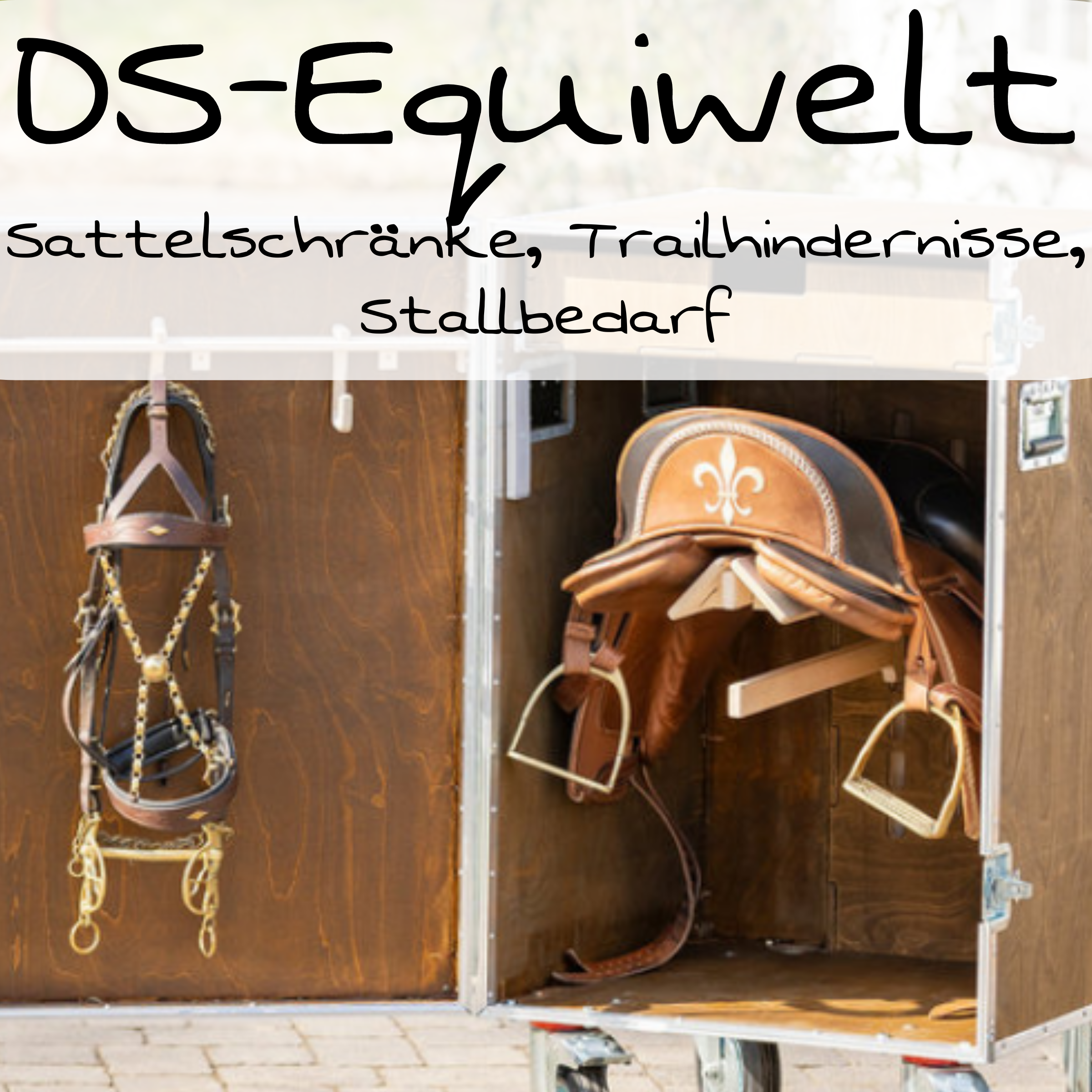 Neu DS-Equiwelt