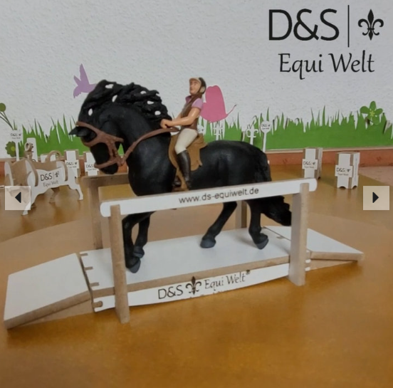 DS-Equiwelt Minitrail Bastelset Wippe / Brücke