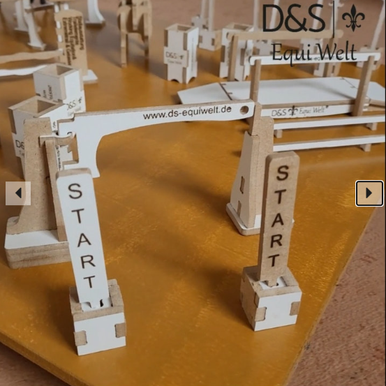 DS-Equiwelt Minitrail Bastelset Start-Ziel