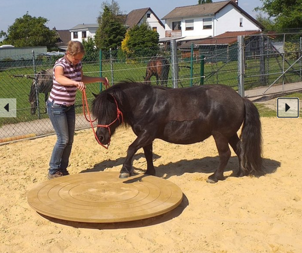 DS-Equiwelt Runde Wippe