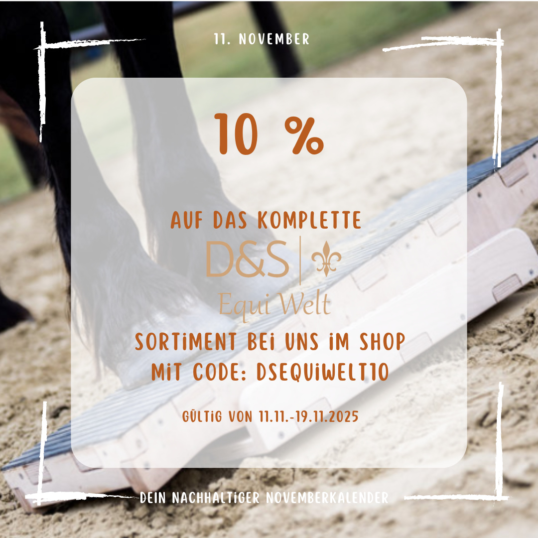 11. November 2025 Novemberkalender DS-Equiwelt