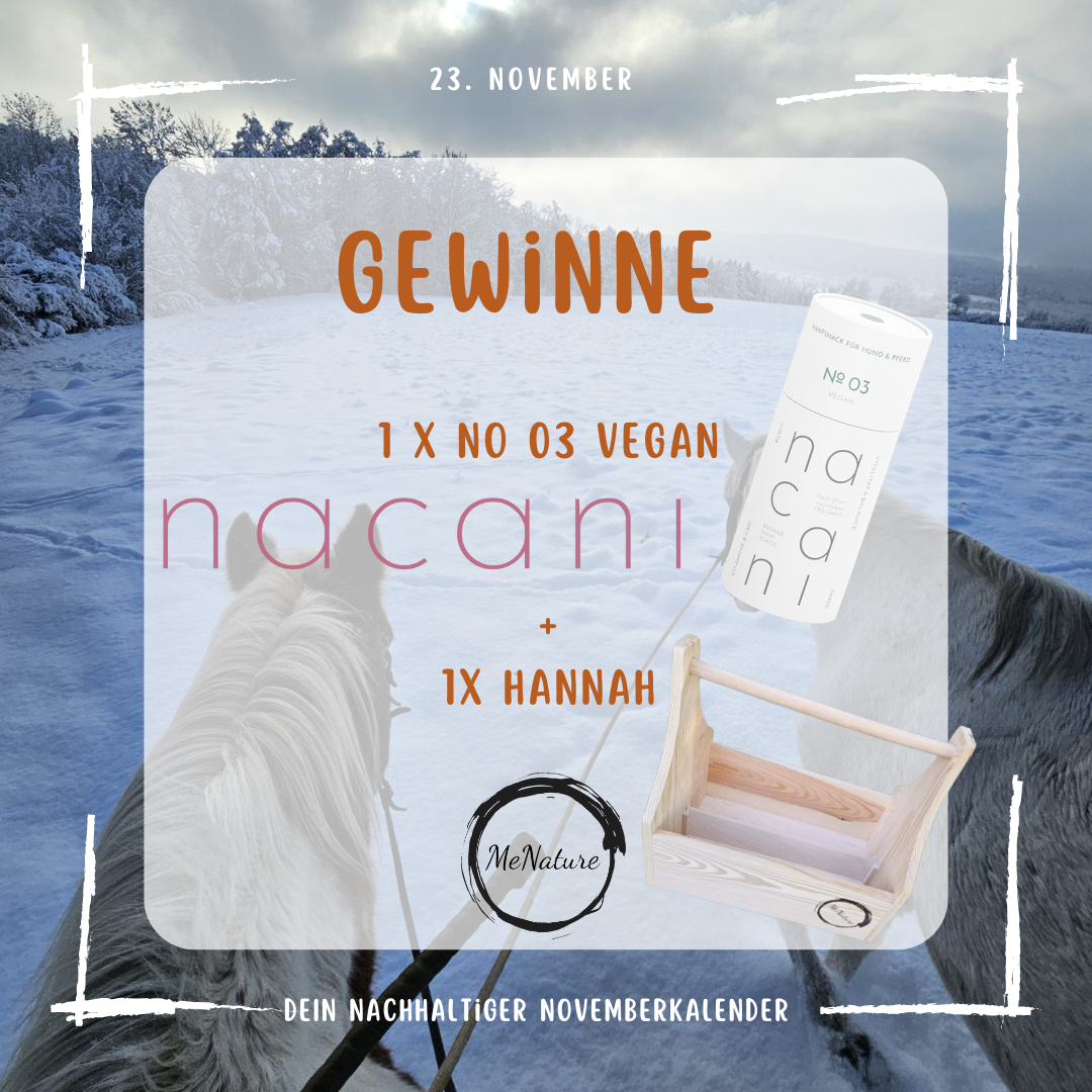 23. November 2025 Novemberkalender