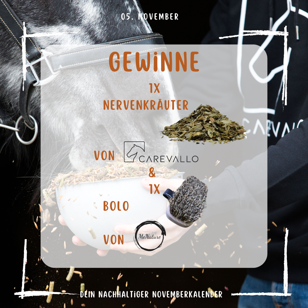 5. November 2025 Novemberkalender