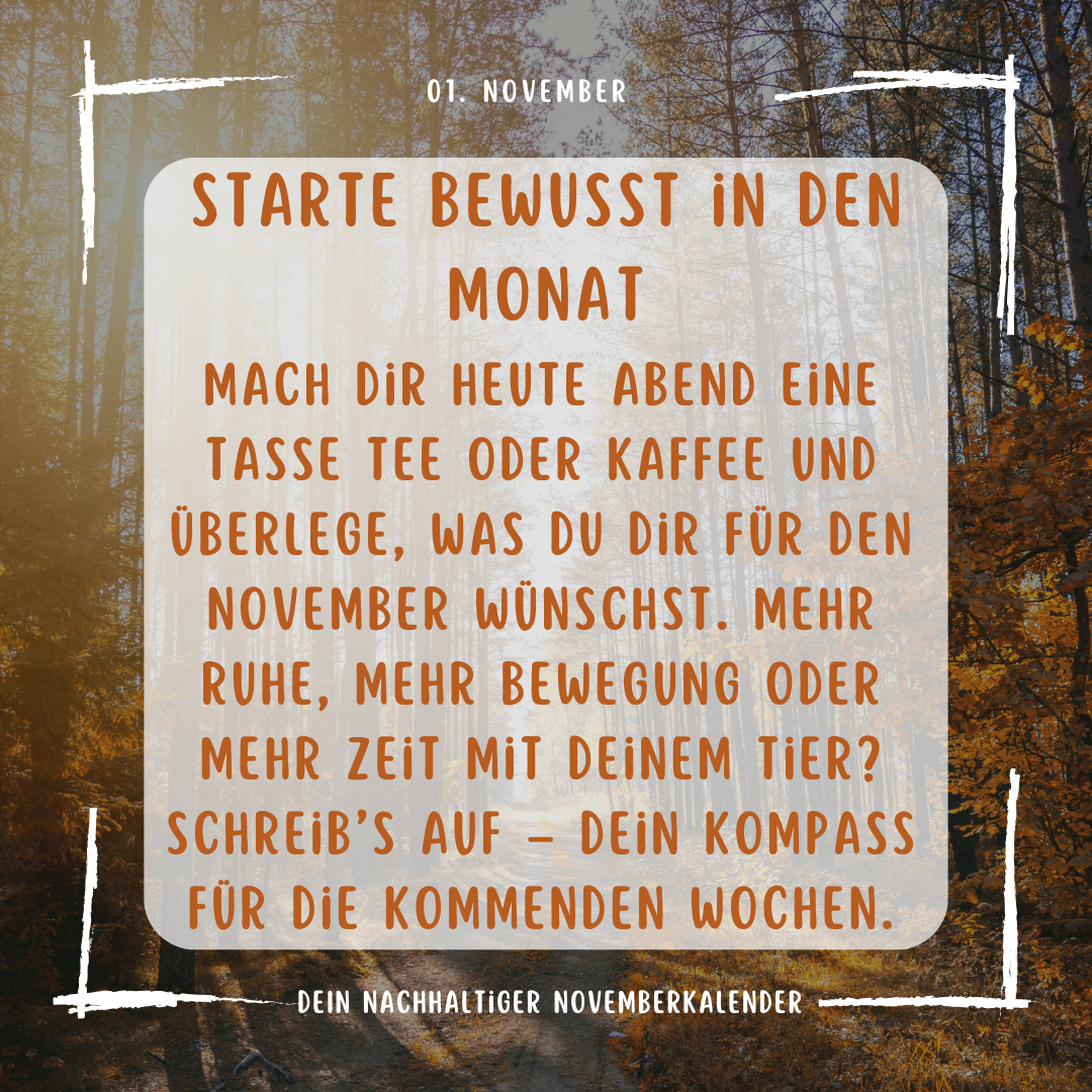 1. November 2025 Novemberpostings