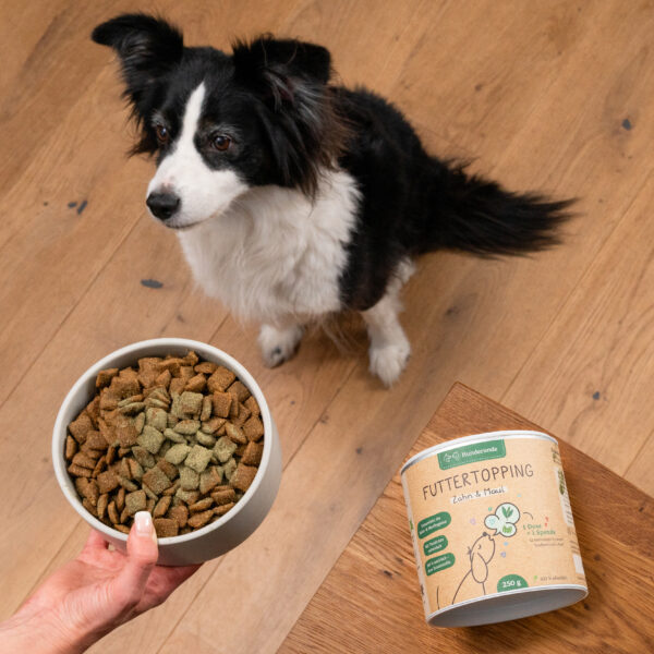 Hunderunde Futtertopping Zahn & Maul