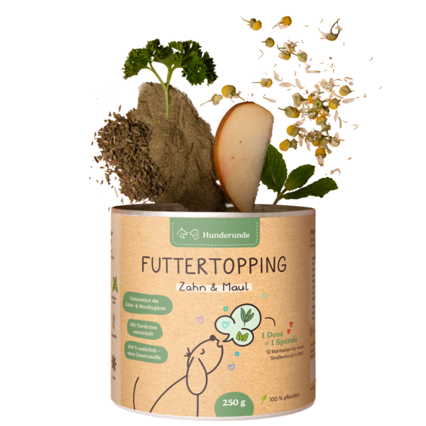 Hunderunde Futtertopping Zahn & Maul