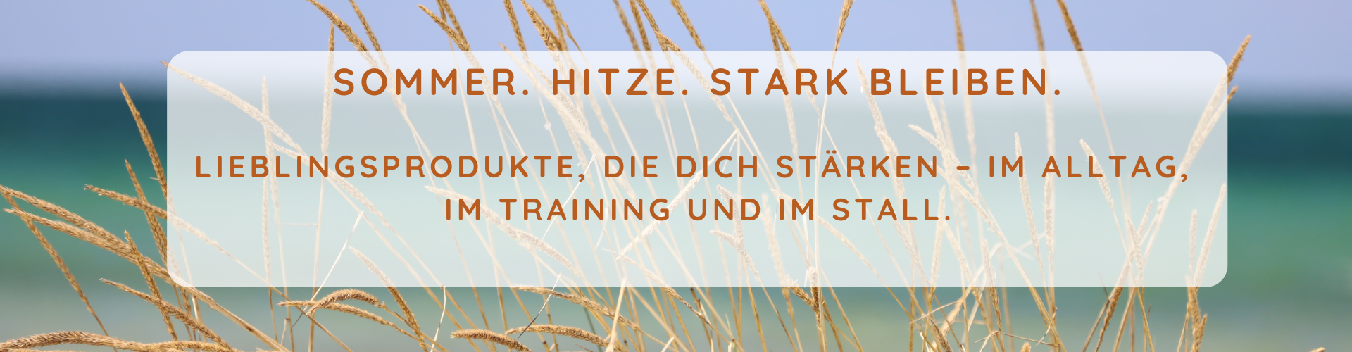 Banner Sommer 2026