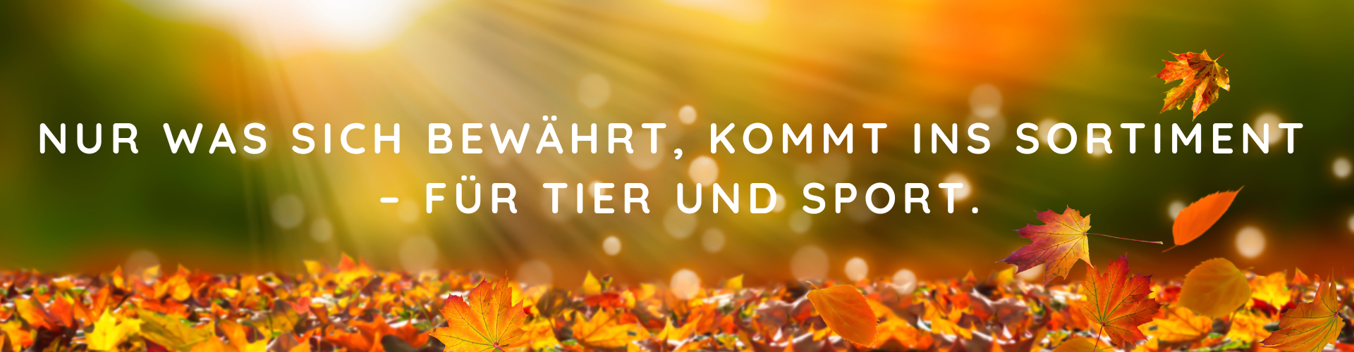 MeNature Herbst 2026 Themes Nur was sich bewährt, kommt ins Sortiment. Für Tier und Sport - Themes für Herbst