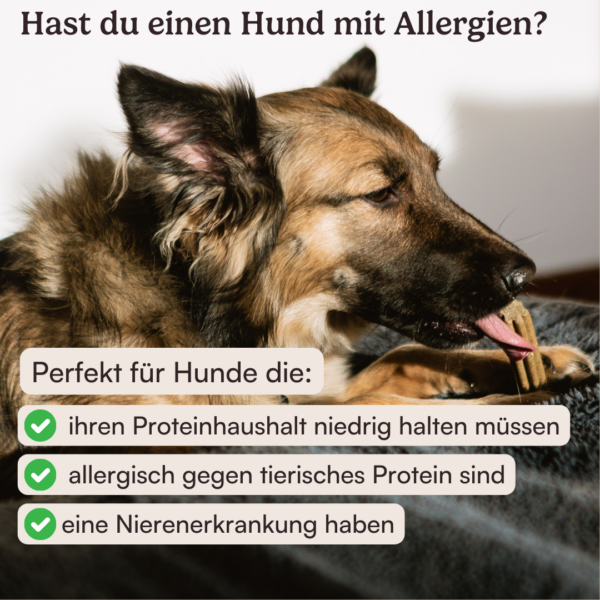 Dental Sticks Nussknacker von Hunderunde, 180 g Tüte mit pflanzlichen Kausticks für Hunde