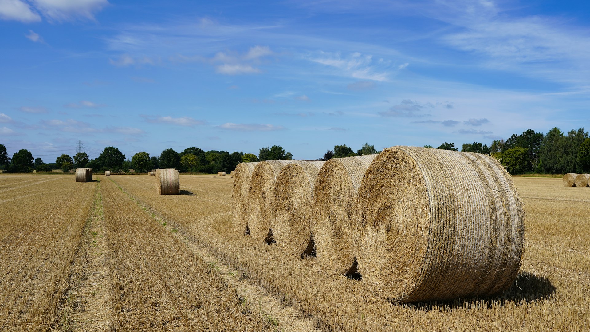 Runde Heuballen auf einer sonnigen Wiese